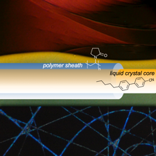 JPolymSciBPerspective