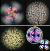 SoftMatterShellArticleTOC2012