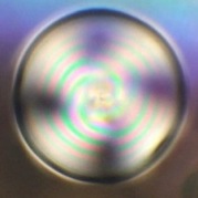 Web-flash-bild