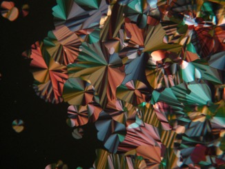 Pretty Texture