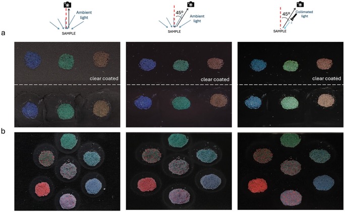 adom70893-fig-0004-m