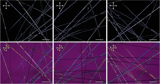 FNLC-filled Fibers