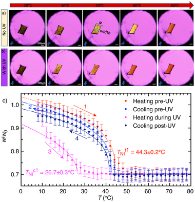 Thermoresponsive-behavior-of-a-six-azo-LCE-film-of-thickness-30m-floating-on-glycerol