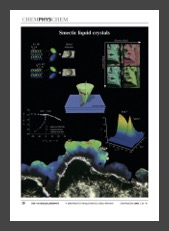 LagerwallGiesselmann_CPCreview_frontispiece2006