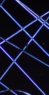 SMN_pic