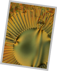 Stacks Image 707
