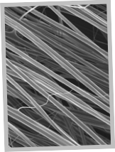 Stacks Image 15
